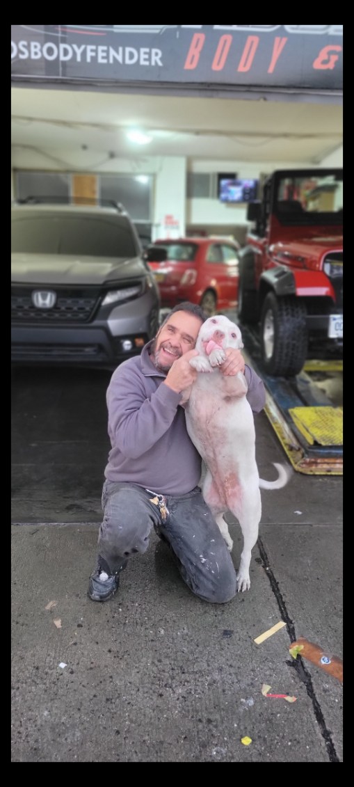 Customer at Adolfo's Auto Body with a white dog beside a repaired vehicle